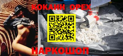 ешки Кингисепп