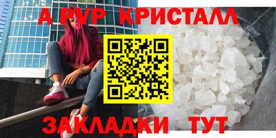 ешки Кингисепп