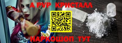 ешки Кингисепп