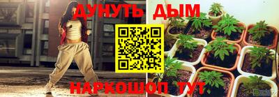 стафф Кинель
