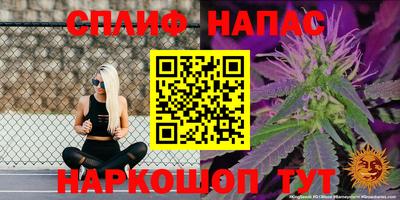 ешки Кингисепп