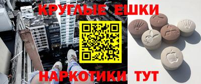 ешки Кингисепп