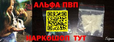ешки Кингисепп